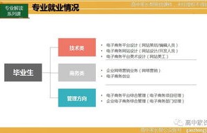 电子商务类专业是啥意思