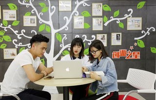 绍兴电子商务专业好不好