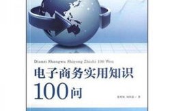 结合电子商务的专业知识