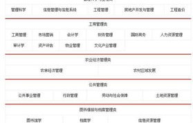 电子商务专业能考公务员