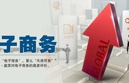 电子商务专业需要读博吗