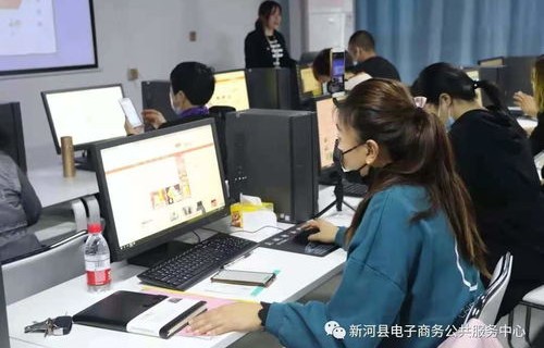 电子商务专业人才的概念