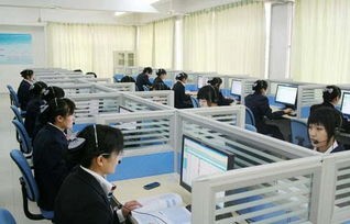 网络技术与电子商务专业