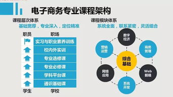 电子商务专业数据分析师