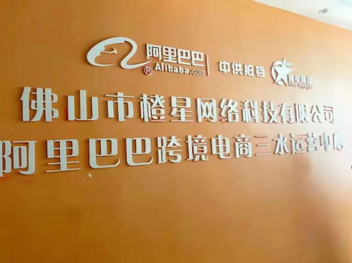 电子商务专业毕业生就业ppt