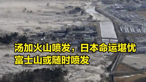 在日华人谈日本大地震预言，一笑而过